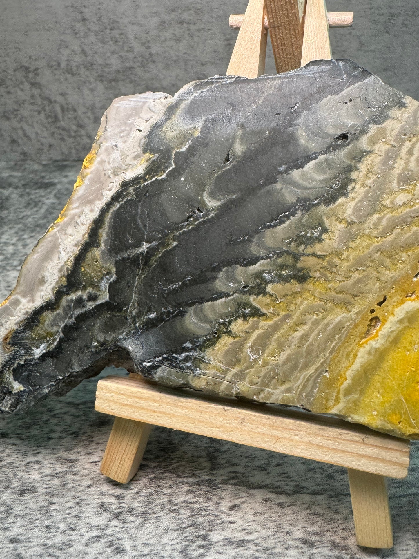 Bumblebee Jasper Slab